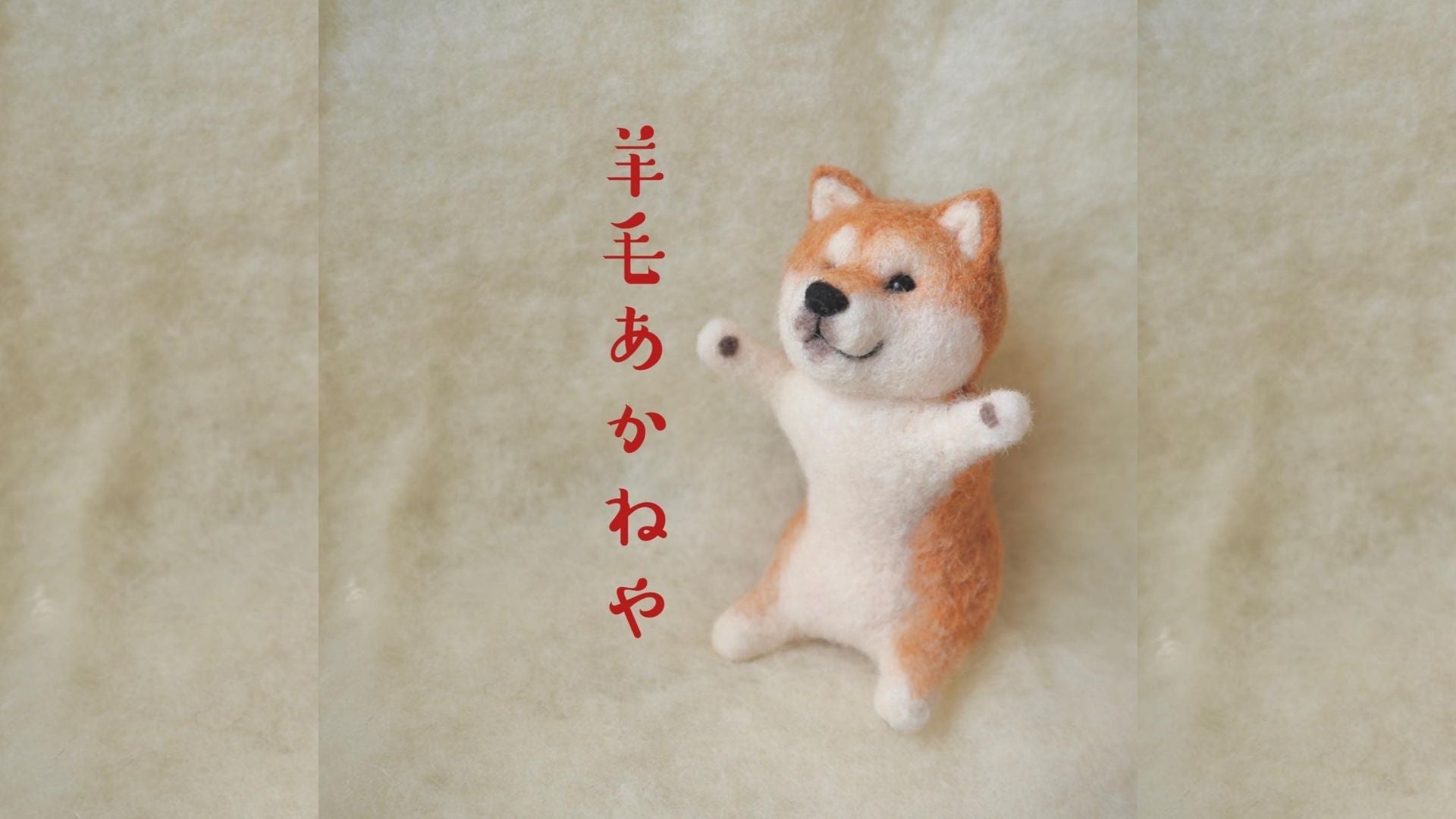 RICCAR STORY:羊毛作家・羊毛あかねやさん【愛犬と紡ぐ羊毛作品】